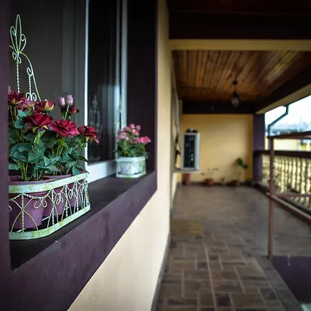 Collosal Apartment With Garden 布加勒斯特 Exterior photo