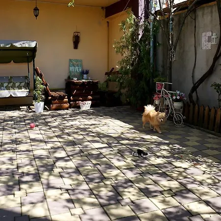 Collosal Apartment With Garden 布加勒斯特 Exterior photo