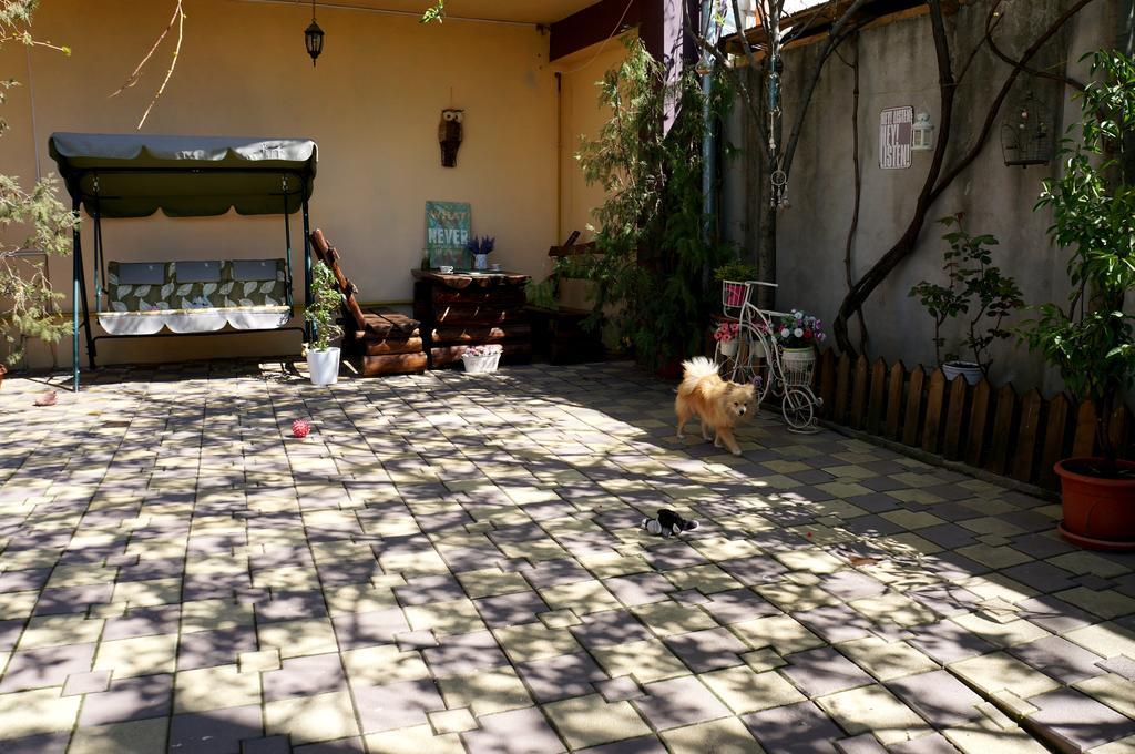 Apartment Collosal With Garden *