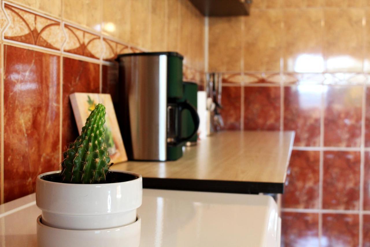 Collosal With Garden Apartment Bucharest