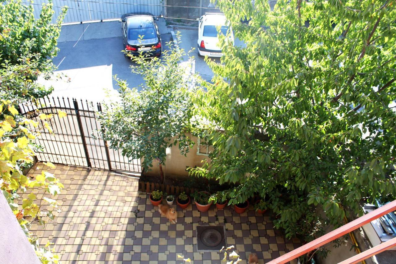 Collosal With Garden * Bucharest