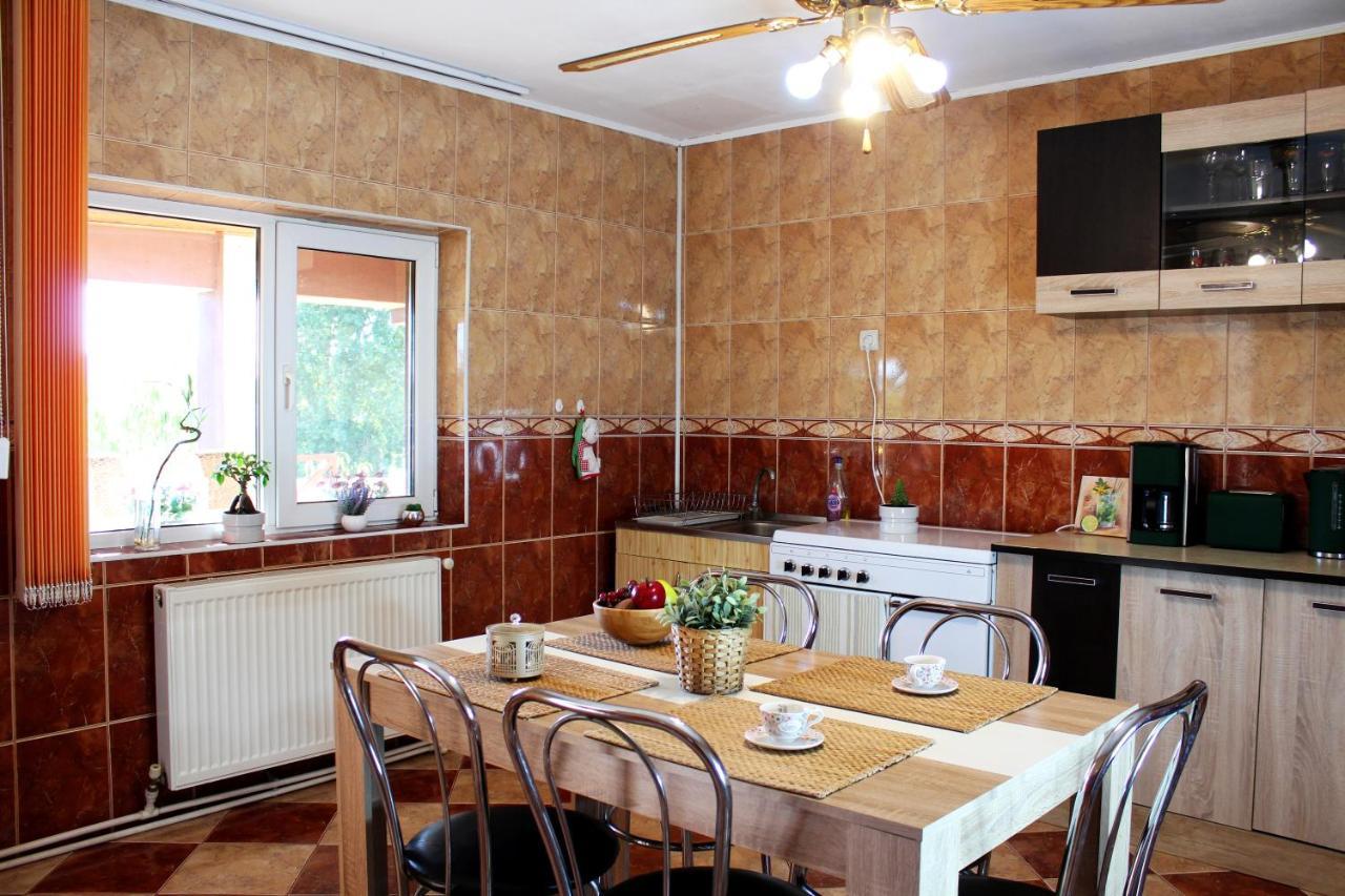 Apartment Collosal With Garden Bucharest