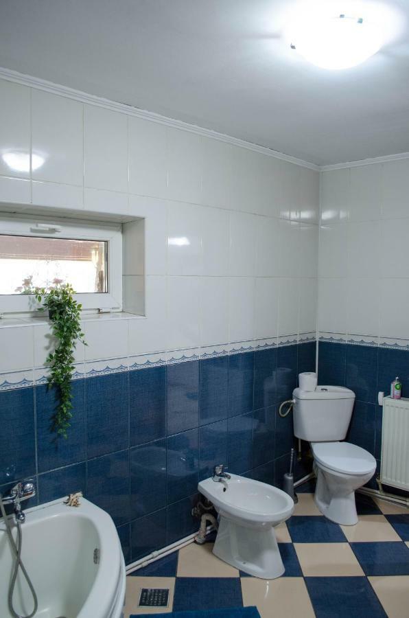 Apartment Collosal With Garden