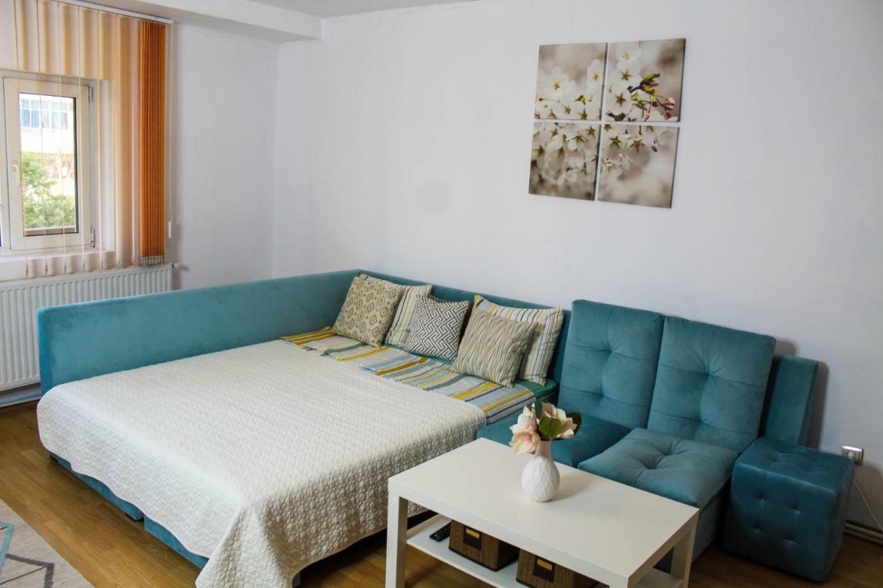 Collosal With Garden Apartament Bucureşti